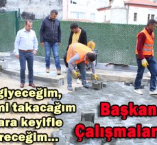 Başkan Özcan Çalışmaları İnceledi