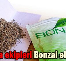 Jandarma ekipleri Bonzai ele geçirdi