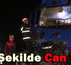 Feci Şekilde Can Verdi