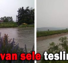 DÖRTDİVAN SELE TESLİM OLDU