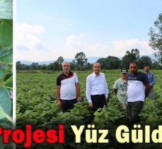 Soya Projesi Yüz Güldürüyor