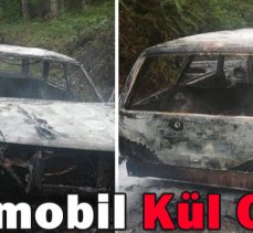 Otomobil Kül Oldu