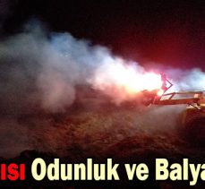 Gece yarısı Odunluk ve Balya Yangını