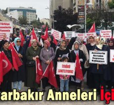 Bolu, Diyarbakır Anneleri İçin Ayakta