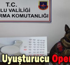 Bolu’da Uyuşturucu Operasyonu