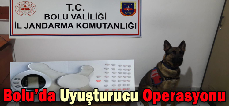 Bolu’da Uyuşturucu Operasyonu