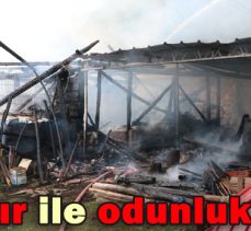 Bir ahır ile odunluk