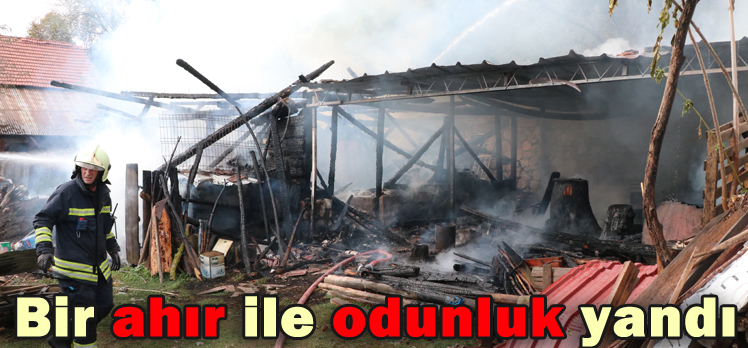 Bir ahır ile odunluk