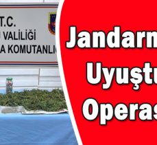 Jandarma’dan Uyuşturucu Operasyonu