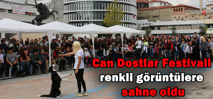 Can Dostlar Festivali renkli görüntülere sahne oldu