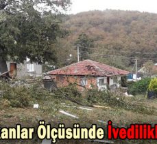 Yaralar İmkanlar Ölçüsünde İvedilikle Sarılacak