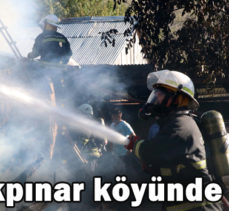 Çaygökpınar köyünde Yangın