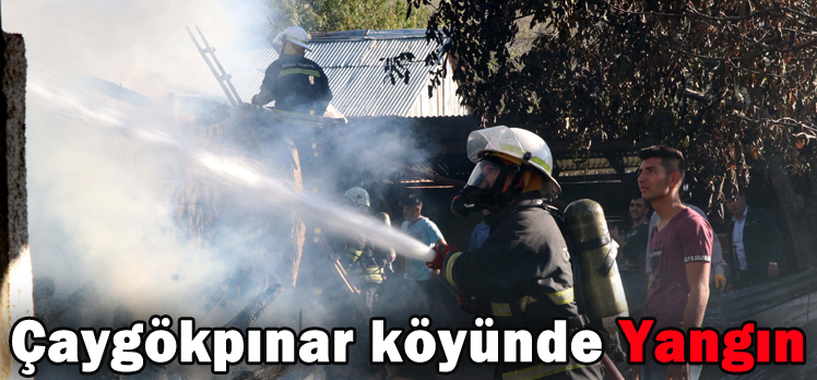 Çaygökpınar köyünde Yangın