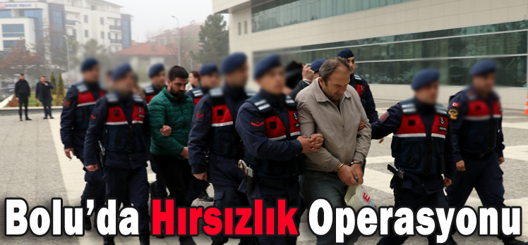 Bolu’da Hırsızlık Operasyonu