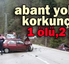 Abant yolunda korkunç kaza: 1 ölü,2 yaralı