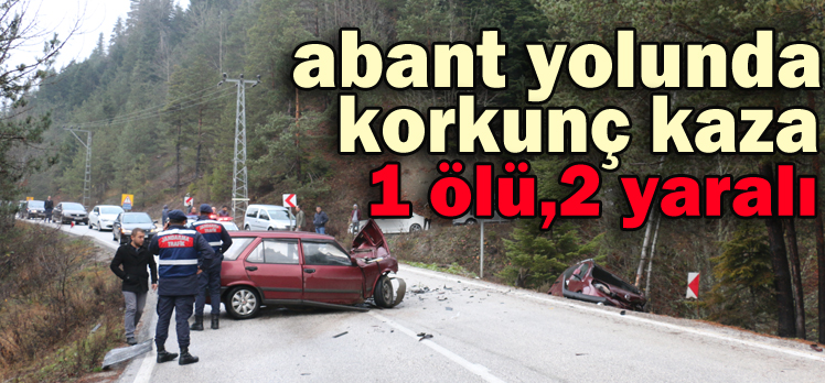 Abant yolunda korkunç kaza: 1 ölü,2 yaralı