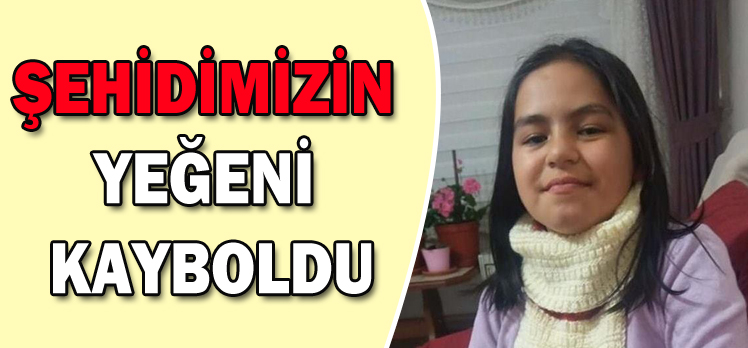 ŞEHİDİMİZİN  YEĞENİ KAYBOLDU