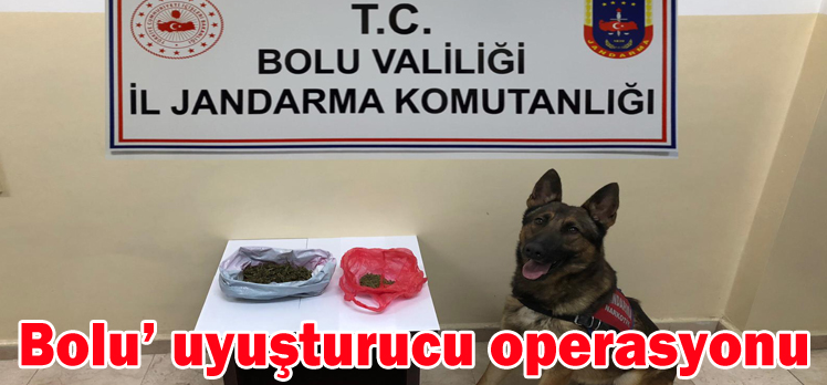 Bolu’ uyuşturucu operasyonu