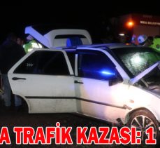 BOLU’DA TRAFİK KAZASI: 1 YARALI