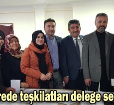 AK Parti Gerede teşkilatları delege seçimi başladı