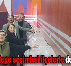 AK Parti delege seçimleri ilçelerle devam ediyor