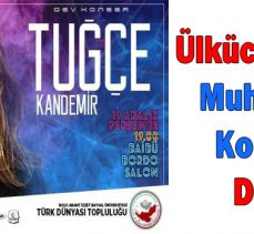 Ülkücüler’den Muhteşem Konsere Davet