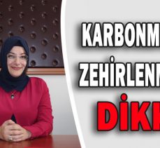 KARBONMONOKSİT ZEHİRLENMELERİNE DİKKAT!