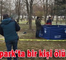 Bolu’da park’ta bir kişi ölü bulundu