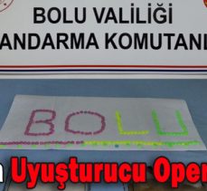 Bolu’da Uyuşturucu Operasyonu