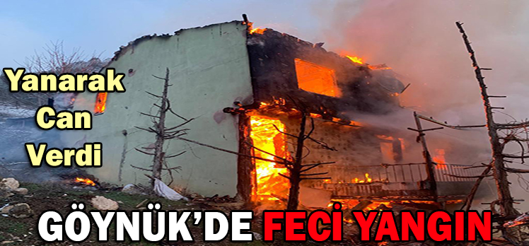 Göynük’de Feci Yangın