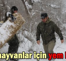 Yabani hayvanlar için yem bırakıldı