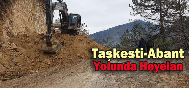 Taşkesti-Abant yolunda heyelan