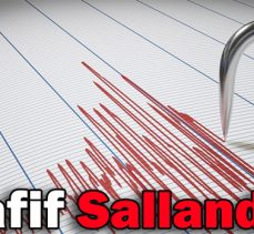 Hafif Sallandık