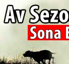 Av sezonu sona erdi