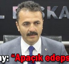 Doğanay: “Apaçık edepsizliktir”