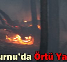 Mudurnu’da Örtü Yangını