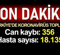 Türkiye’de koronadan ölenlerin sayısı 356’ya yükseldi