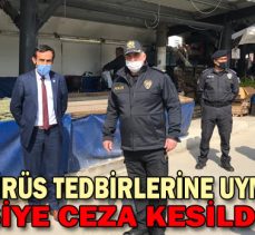 Koronavirüs tedbirlerine uymayan 165 kişiye ceza kesildi