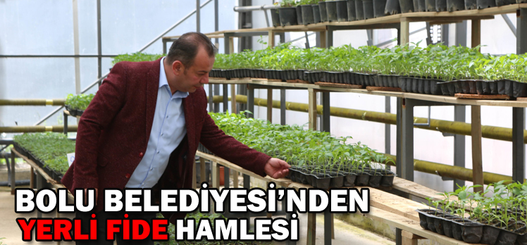 Bolu Belediyesi’nden “yerli fide” hamlesi