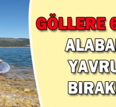 GÖLLERE 600 BİN ALABALIK YAVRUSU BIRAKILDI