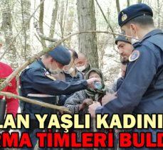 KAYBOLAN YAŞLI KADINI JANDARMA TİMLERİ BULDU