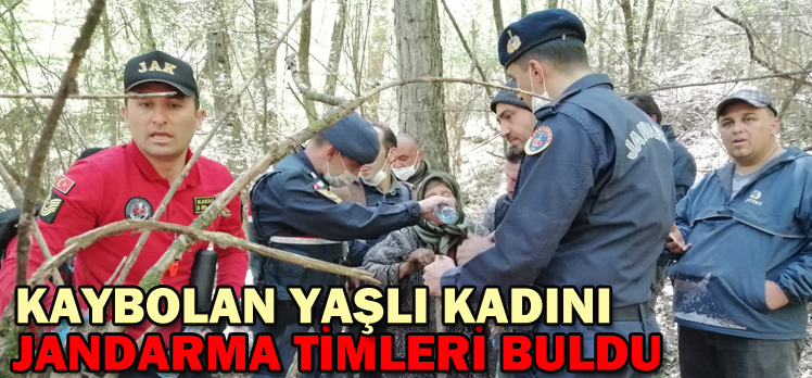 KAYBOLAN YAŞLI KADINI JANDARMA TİMLERİ BULDU