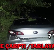 LASTİĞE ÇARPTI/TARLAYA GİRDİ/ 7 YARALI