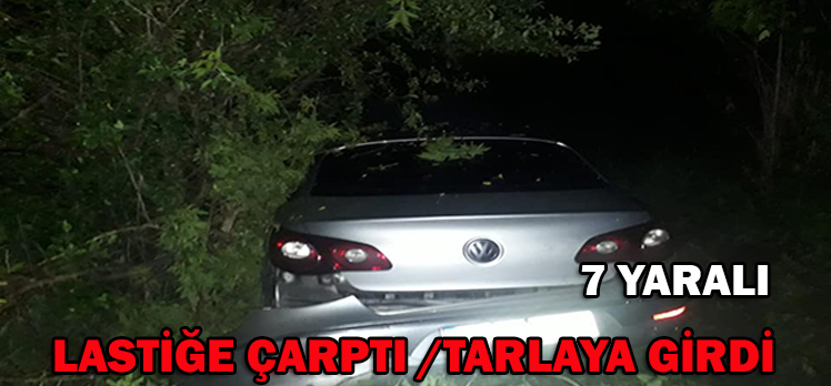 LASTİĞE ÇARPTI/TARLAYA GİRDİ/ 7 YARALI