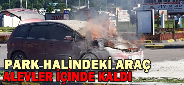 PARK HALİNDEKİ ARAÇ ALEVLER İÇİNDE KALDI