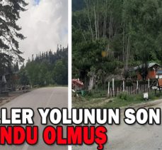 YEDİGÖLLER YOLU GECEKONDU OLMUŞ