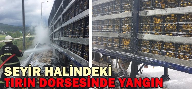 SEYİR HALİNDEKİ TIRIN DORSESİNDE YANGIN