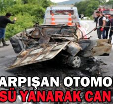 TIRLA ÇARPIŞAN OTOMOBİL SÜRÜCÜSÜ YANARAK CAN VERDİ