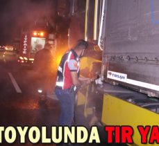 TEM OTOYOLUNDA TIR YANGINI