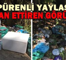 PÜRENLİ YAYLASINDAN İSYAN ETTİREN GÖRÜNTÜLER